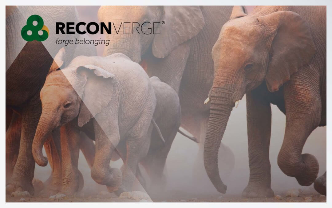 RECONVERGE: Bringing the Brightest Together to Discover How Much More They Have to Learn